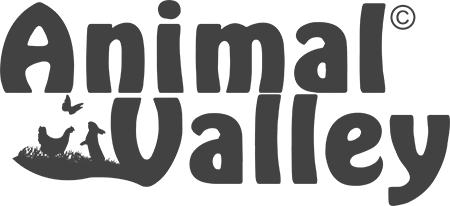 Animal Valley logo